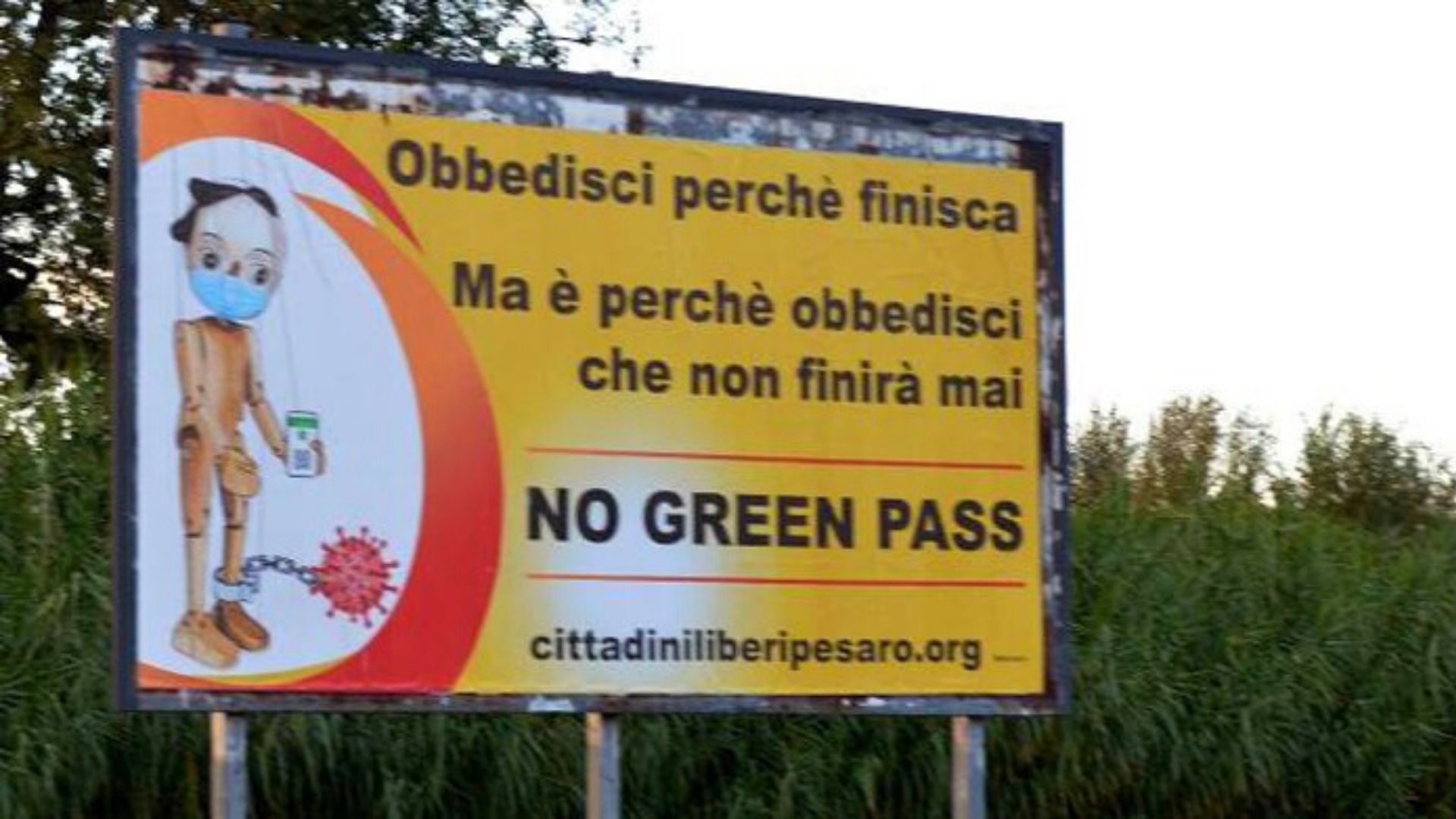 pesaro green pass