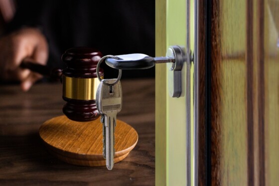 case occupate sentenza