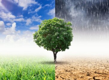 cambiamenti climatici-1