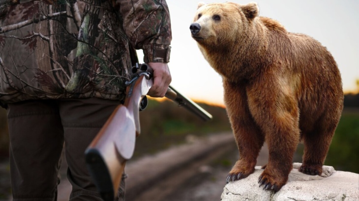 abbattere l'orso cacciatori
