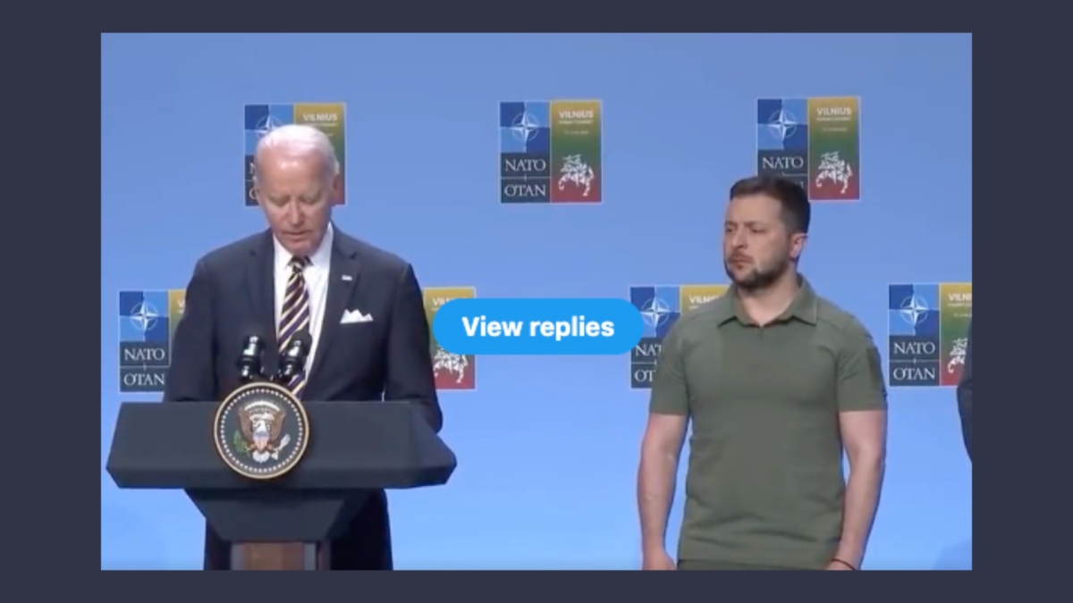 biden zelensky vladimir