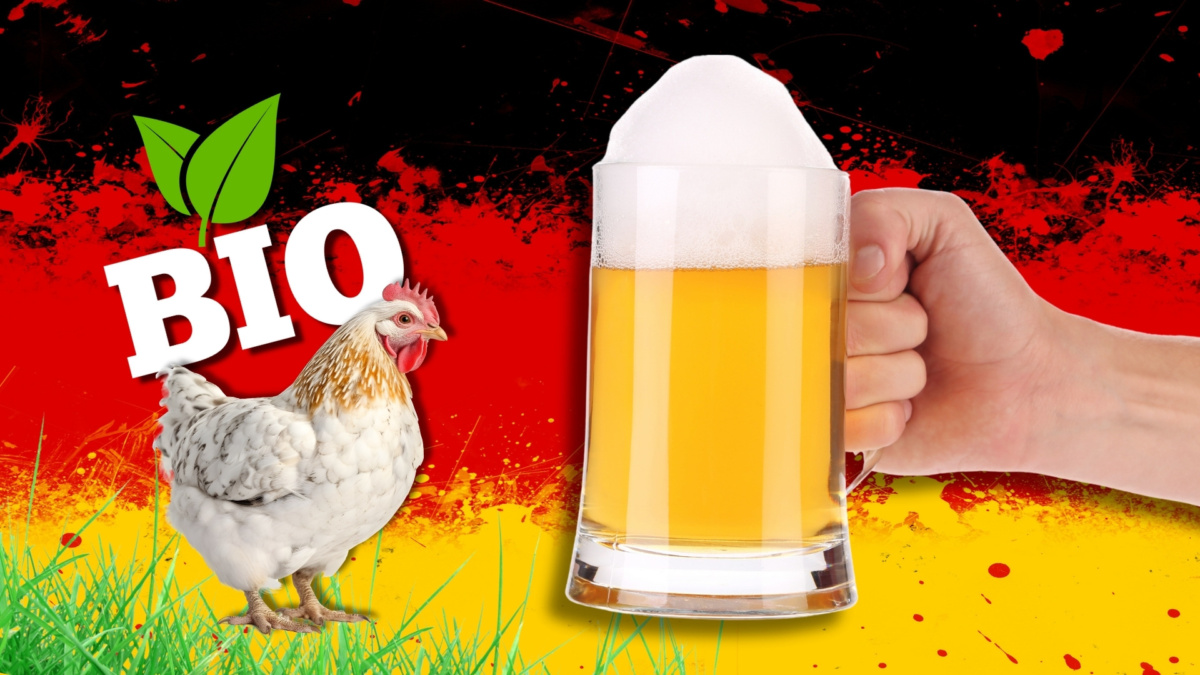 oktoberfest pollo bio