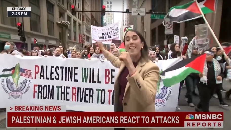 manifestazione Palestina