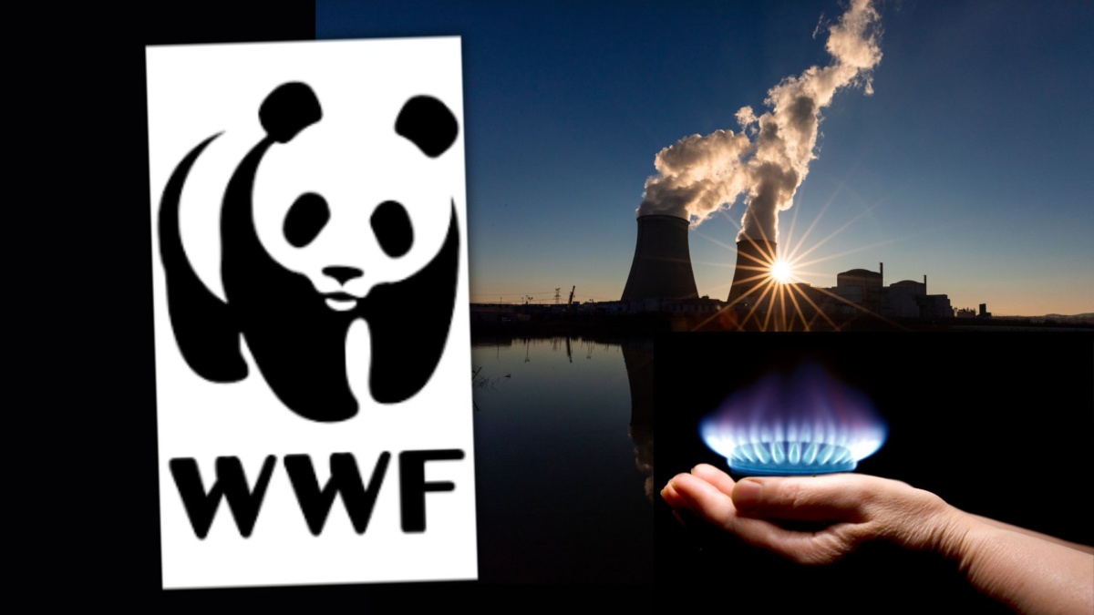 wwf nucleare-1