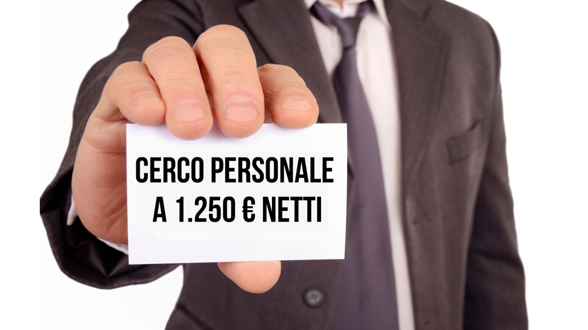 cerco lavoratori