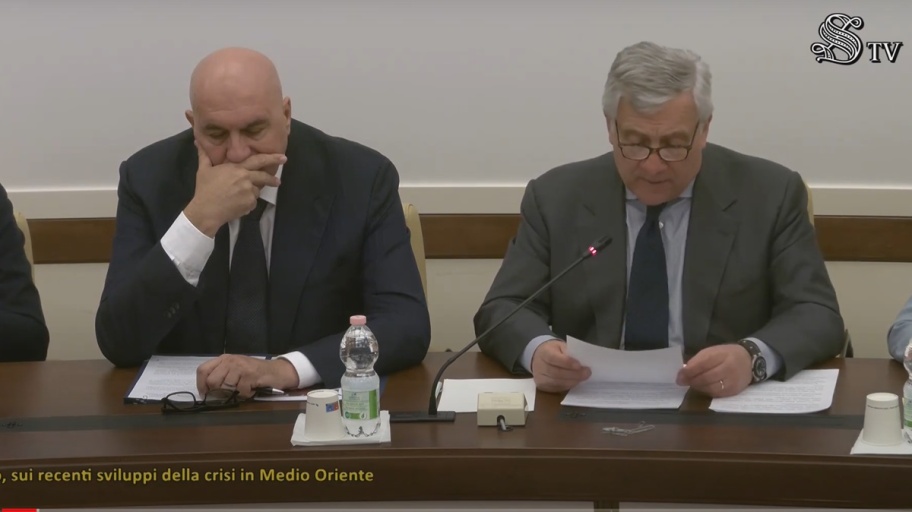 Crosetto Tajani (SenatoTv)