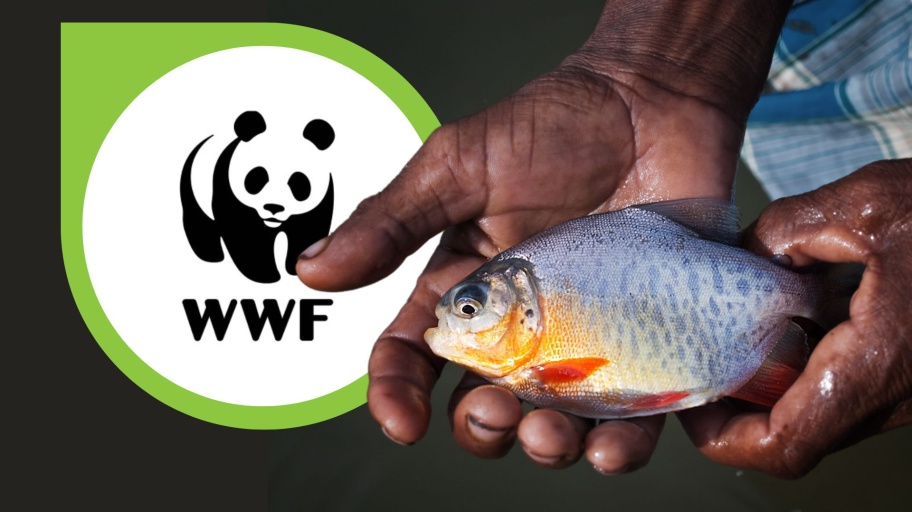 simbolo wwf, pesce tra le mani uomo