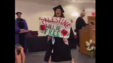 Harvard palestine (X)