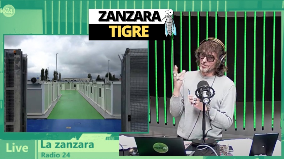 zanzara 18 aprile