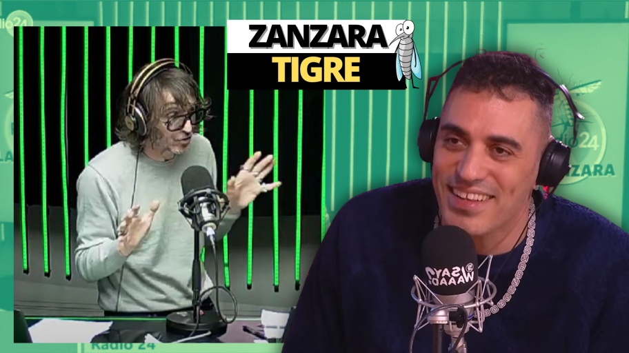 zanzara 3 aprile