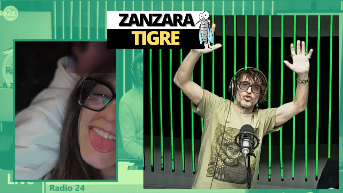 Zanzara 31 maggio
