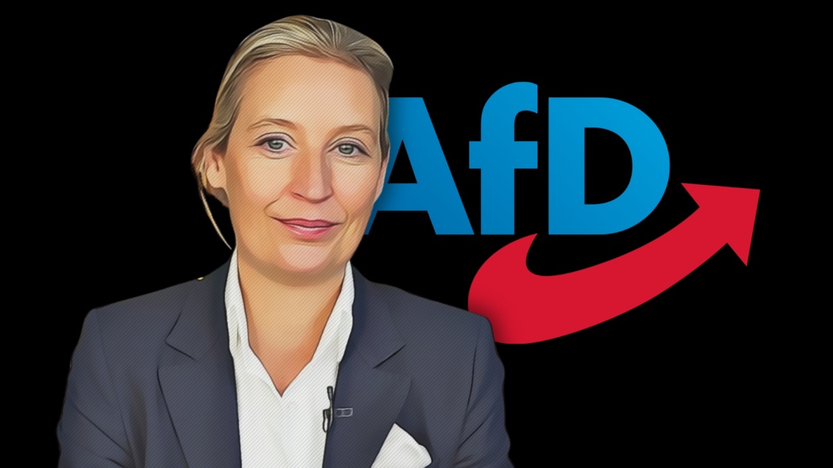 afd weidel