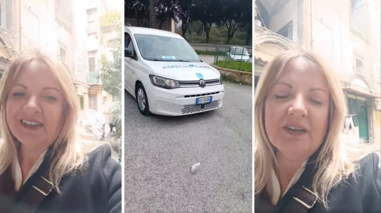  “Pulmini per disabili per votare No”. Scoppia la bufera sul voto