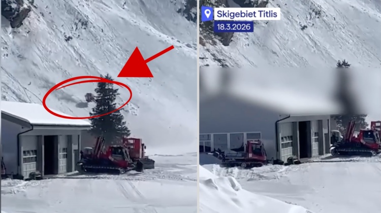 La maledizione Svizzera: precipita una cabinovia che rotola giù. Un morto